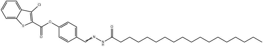 SALOR-INT L489506-1EA