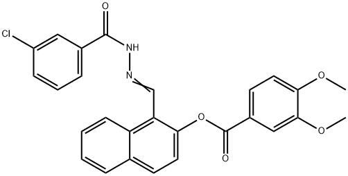 SALOR-INT L489182-1EA