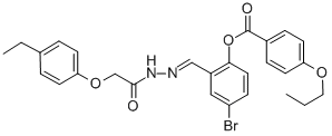 SALOR-INT L487813-1EA