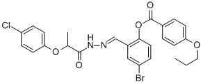 SALOR-INT L487686-1EA