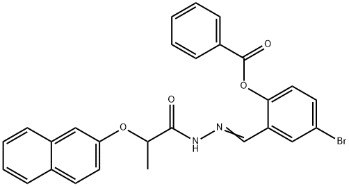 SALOR-INT L487651-1EA