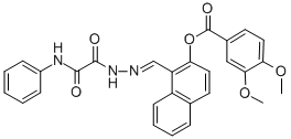 SALOR-INT L399663-1EA