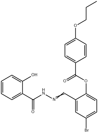 SALOR-INT L385557-1EA