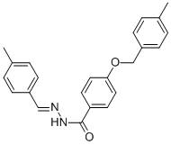 SALOR-INT L485705-1EA