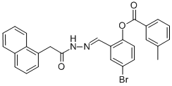 SALOR-INT L462489-1EA