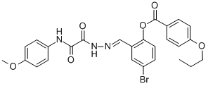 SALOR-INT L396672-1EA