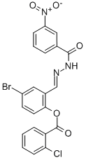 SALOR-INT L396133-1EA