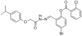 SALOR-INT L395021-1EA Structural