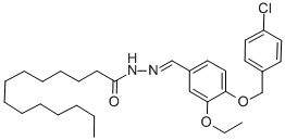 SALOR-INT L389277-1EA