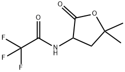 N-(5,5-DIMETHYL-2-OXOTETRAHYDRO-3-FURYL)-2,2,2-TRIFLUOROACETAMIDE