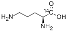 L-ORNITHINE, [1-14 C] Structural