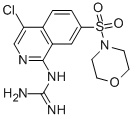 1-(4-CHLORO-7-(MORPHOLINOSULFONYL)ISOQUINOLIN-1-YL)GUANIDINE