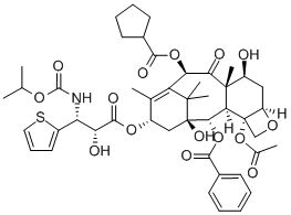 Simotaxel Structural