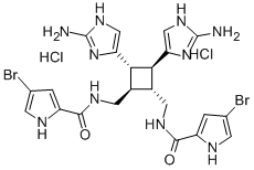 SCEPTRIN Structural