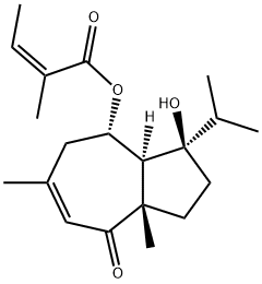 Lapidin