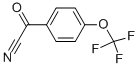 4-(TRIFLUOROMETHOXY)BENZOYL CYANIDE