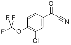 (3-CHLORO-4-TRIFLUOROMETHOXY-PHENYL)-OXO-ACETONITRILE