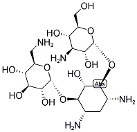 KANAMYCIN Structural