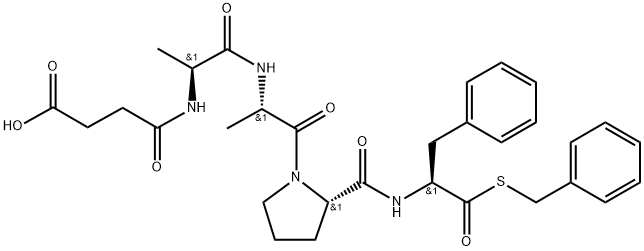 CARBOXYPEPTIDASE B Structural