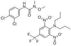 CHANDOR Structural