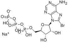 8-BROMO-ADENOSINE-5'-TRIPHOSPHATE, SODIUM SALT