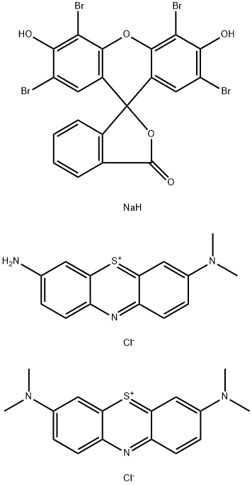 TETRACHROME STAIN Structural