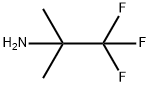 2,2,2-TRIFLUORO-1,1-DIMETHYL-ETHYLAMINE Structural