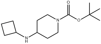 1-BOC-4-CYCLOBUTYLAMINO-PIPERIDINE