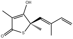 THIOLACTOMYCIN Structural