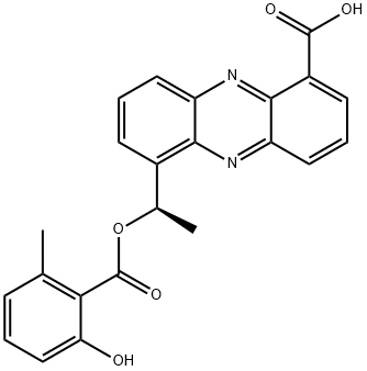 saphenamycin Structural