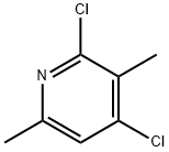 2,4-DICHLORO-3,6-DIMETHYLPYRIDINE