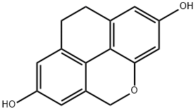 Flavidin Structural