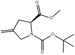 N-Boc-4-Methylene-L-proline Methyl Ester Structural