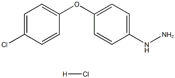 849021-09-6 structural image
