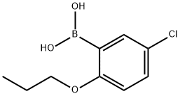 5-CHLORO-2-PROPOXYPHENYLBORONIC ACID