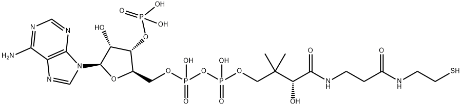 Coenzyme A Structural