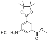 (3-AMINO-5-METHOXYCARBONYL)BENZENEBORONIC ACID PINACOL ESTER HYDROCHLORIDE Structural