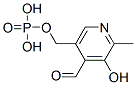 Pyridoxal 5’-Phosphate