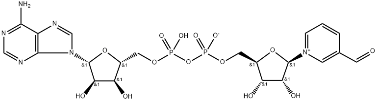 3-PYRIDINEALDEHYDE ADENINE DINUCLEOTIDE