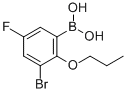 3-BROMO-5-FLUORO-2-PROPOXYPHENYLBORONIC& Structural