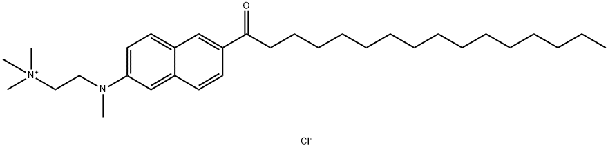 PATMAN Structural