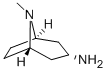 endo-3-Aminotropane Structural