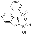 1-(Phenylsulfonyl)-1H-pyrrolo[3,2-c]pyridine-2-ylboronic acid