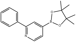 2-PHENYLPYRIDINE-4-BORONIC ACID PINACOL ESTER Structural