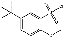 5-TERT-BUTYL-2-METHOXY-BENZENESULFONYL CHLORIDE