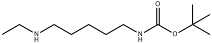 TERT-BUTYL 5-(ETHYLAMINO)PENTYLCARBAMATE