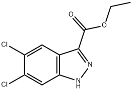 ETHYL 5,6-DICHLORO-1H-INDAZOLE-3-CARBOXYLATE