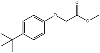 methyl 2-(4-tert-butylphenoxy)acetate Structural