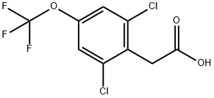 2,6-DICHLORO-4-(TRIFLUOROMETHOXY)PHENYLACETIC ACID