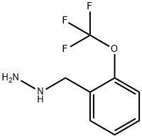 2-TRIFLUOROMETHOXY-BENZYL-HYDRAZINE